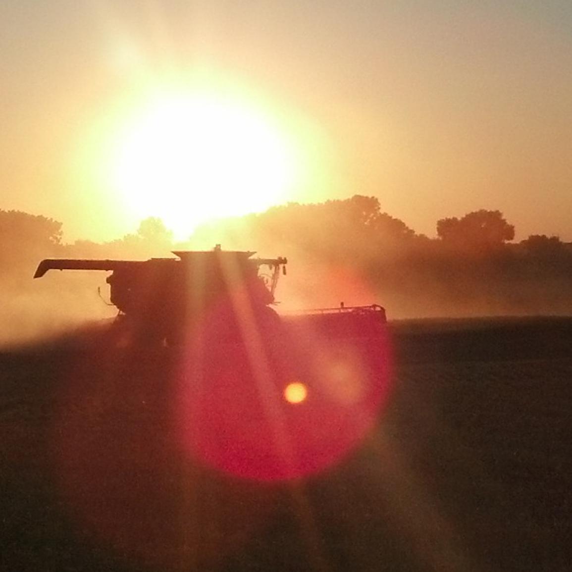 eemd12's profile banner image