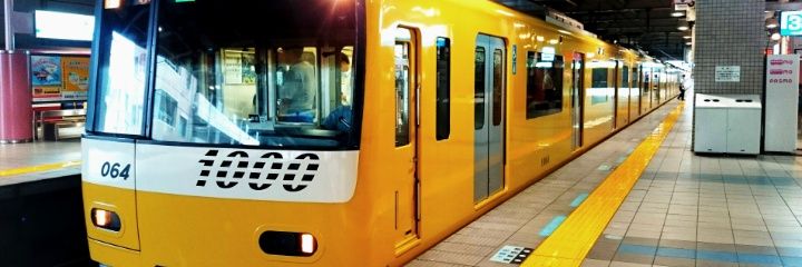 まきのみ🪽 banner