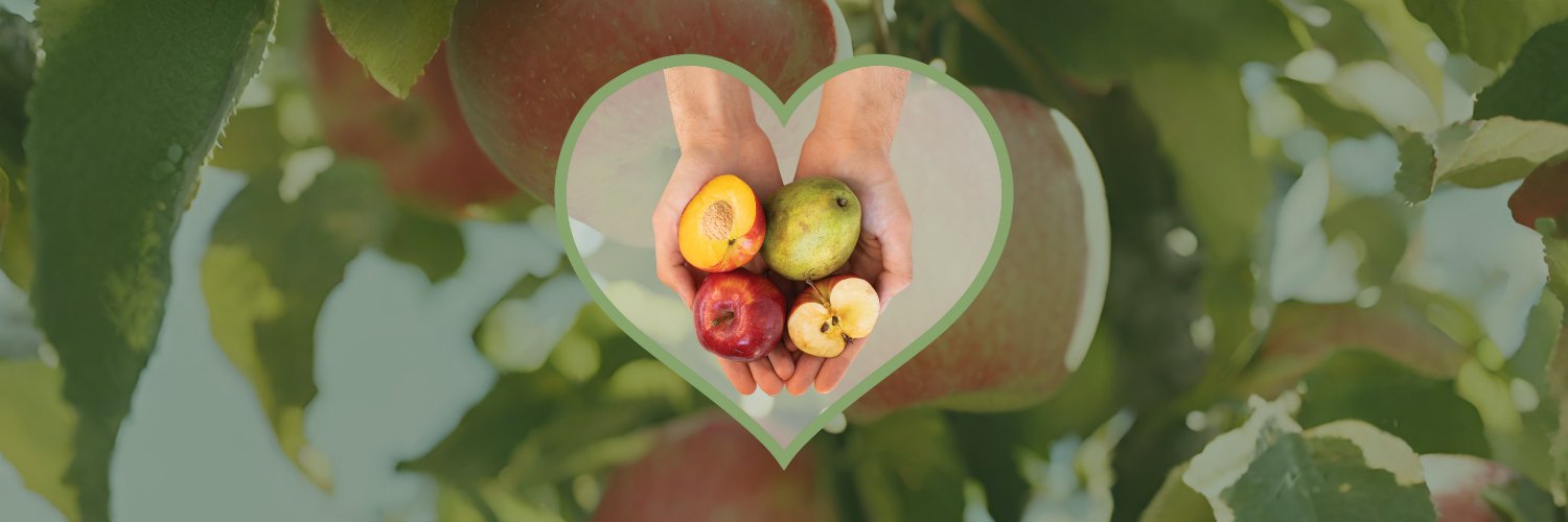 slofoodbank's profile banner image