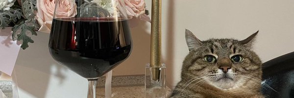 THEchelsnut Profile Banner