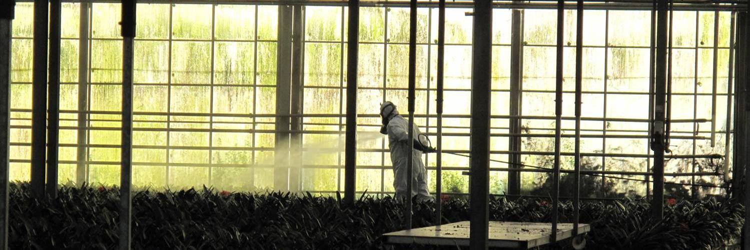 Pieter Spanoghe banner