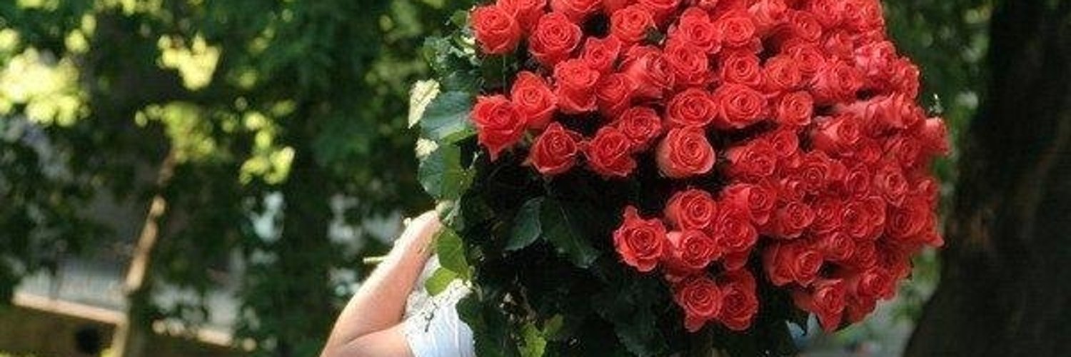 разбился гулхои зебо картинка для тебя разработка, полностью контролирует