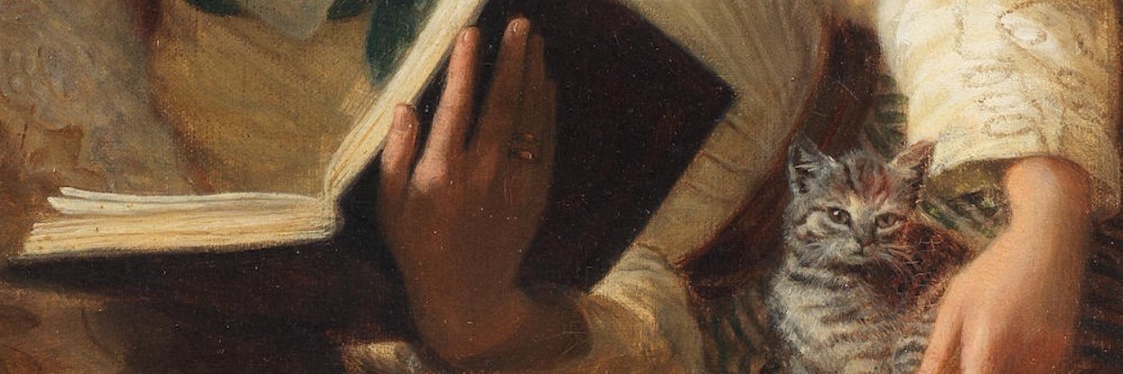AldduC's profile banner image