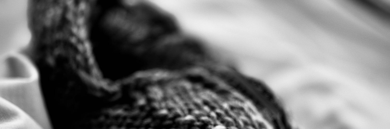 anicolejackson's profile banner image