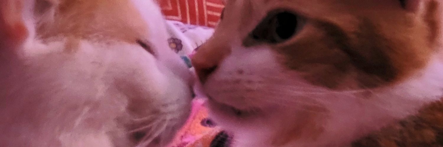 Christiane Jenkins banner