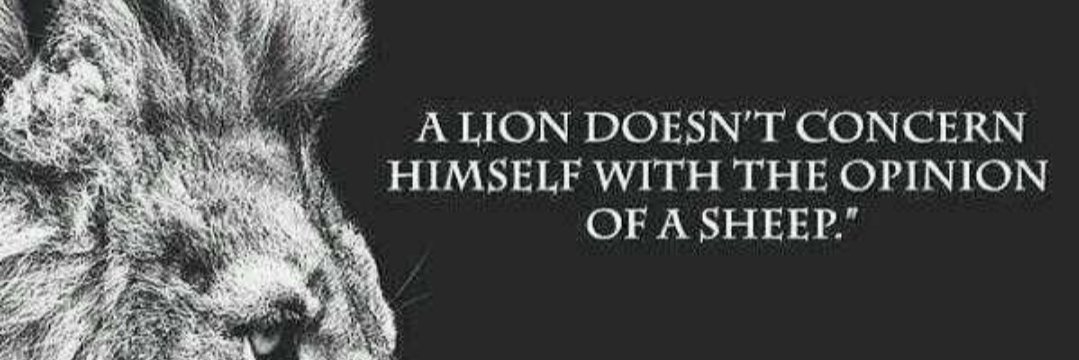 QueenOfBitcoin1's profile banner image