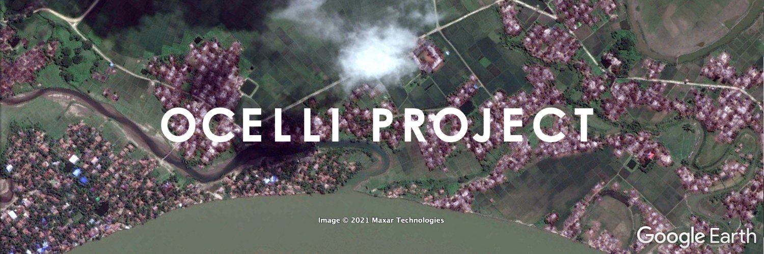 Ocelli Project banner