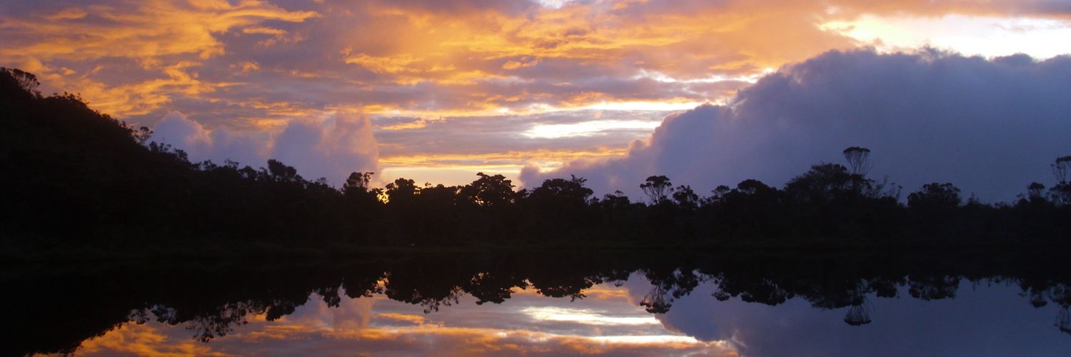 bengkung_'s profile banner image