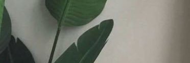 fitcalyroczek's profile banner image