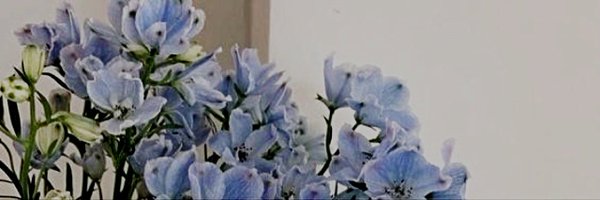 deflagratio Profile Banner