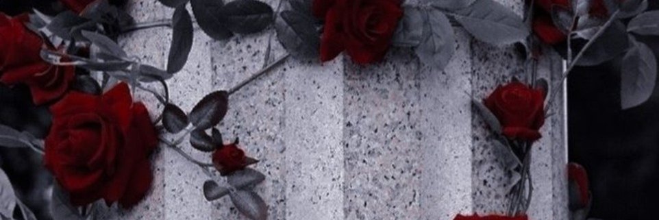 Jacks • Agente Kúl ❄️ banner