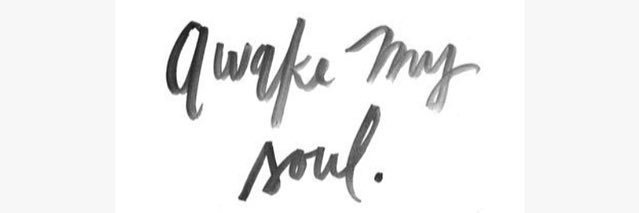 MaryTereSouber's profile banner image