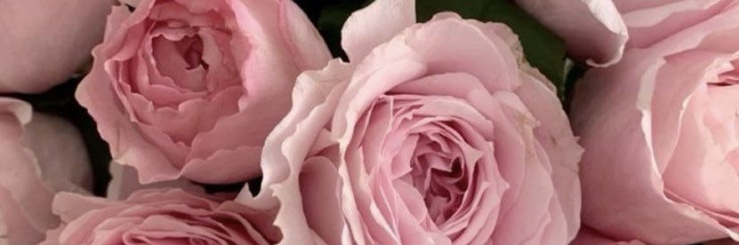 nelia213's profile banner image