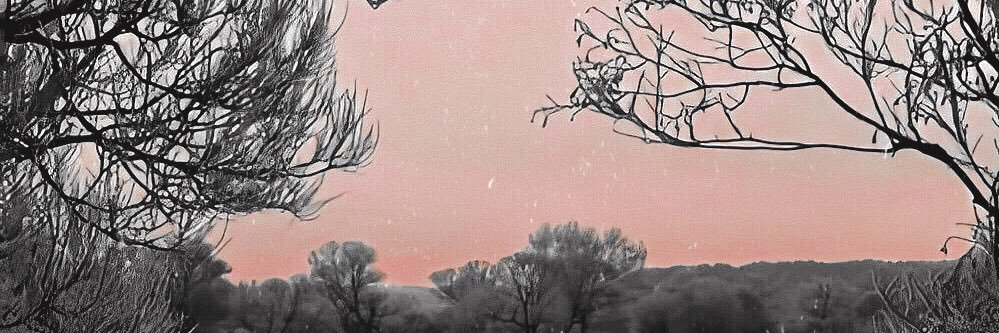 LAGERTHAFR's profile banner image