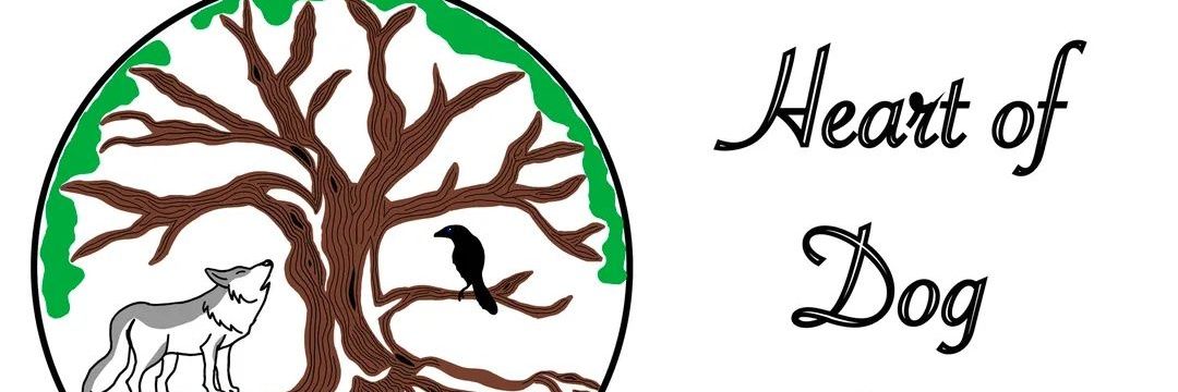 InuShin1's profile banner image