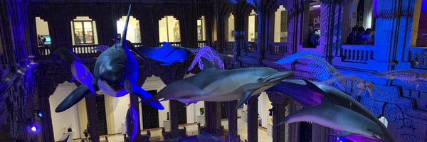 jcarvajal Profile Banner