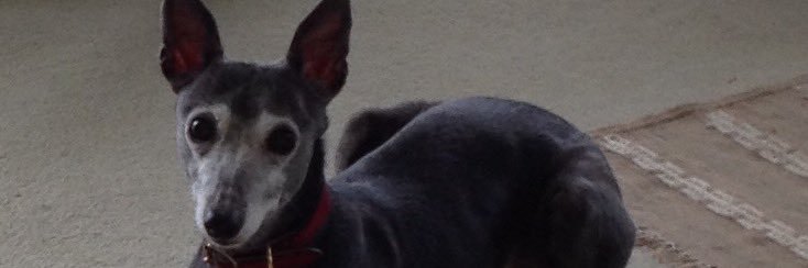 Kathryn Hepplestone banner