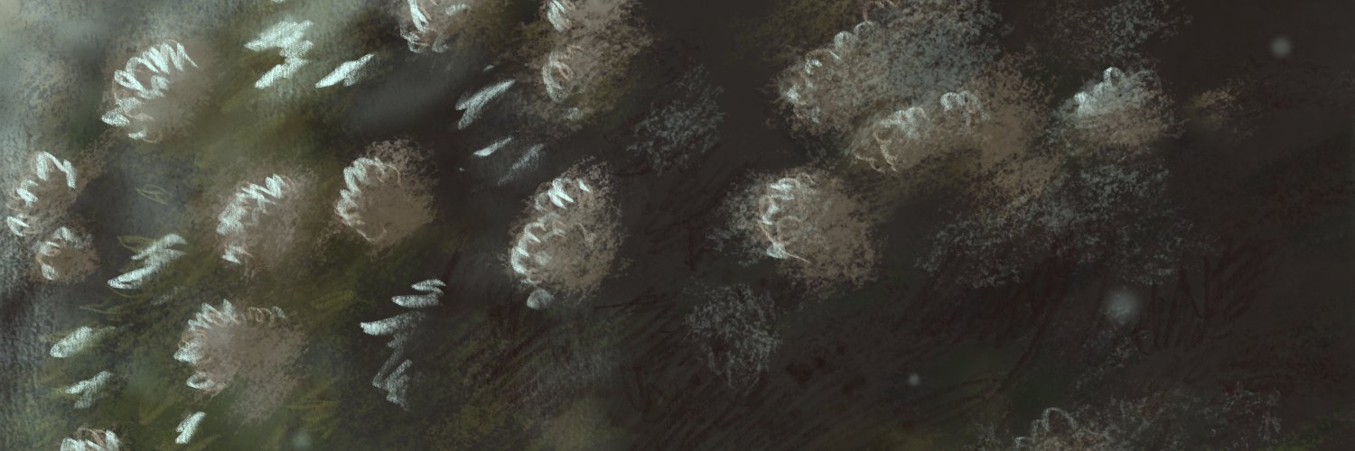 sen ✵ 18+ artist banner