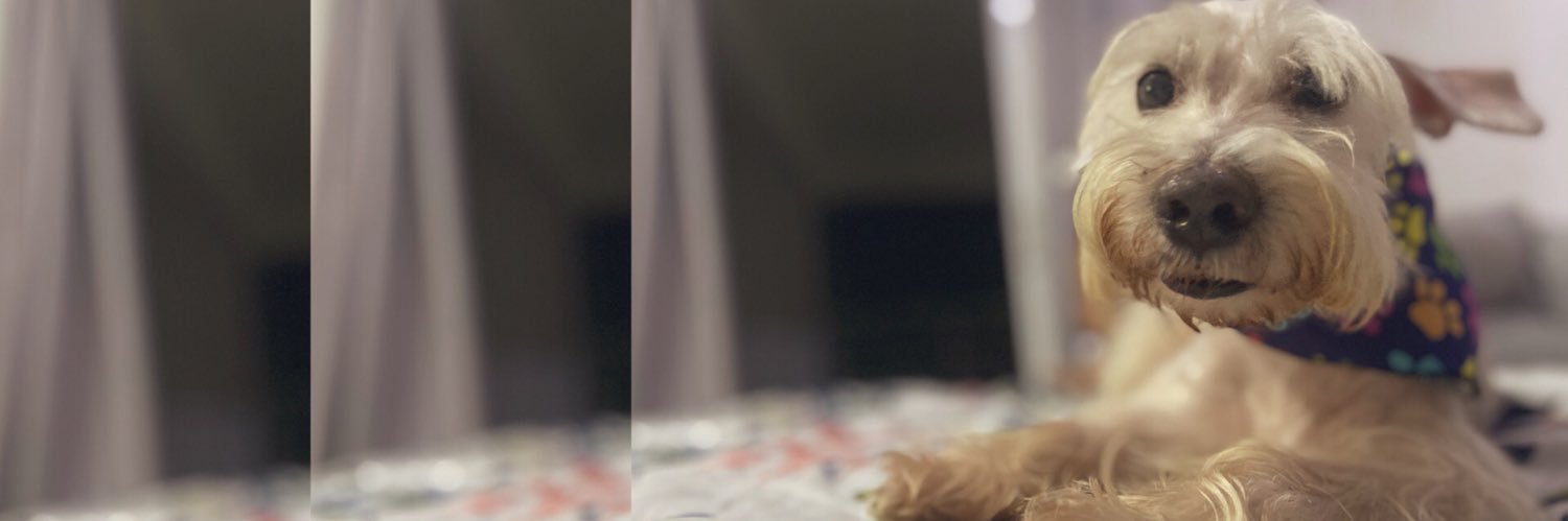 luisagarcesg's profile banner image