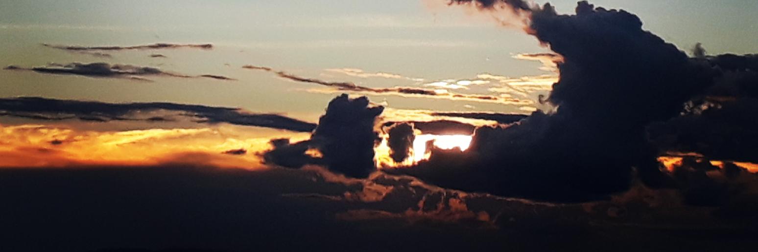 medsssa's profile banner image