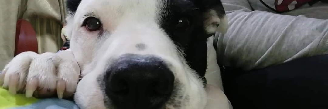 ValeBroky's profile banner image