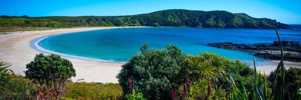 Robot James 🤖🏖 banner