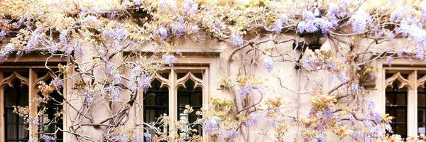 CLeibowicz Profile Banner