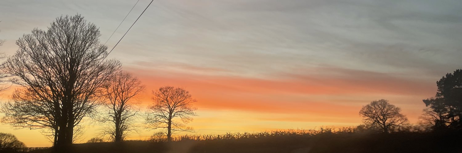 mled98's profile banner image