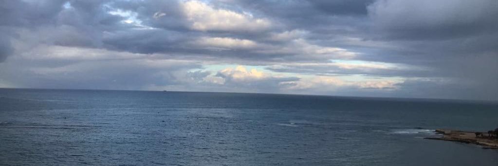movy1411's profile banner image