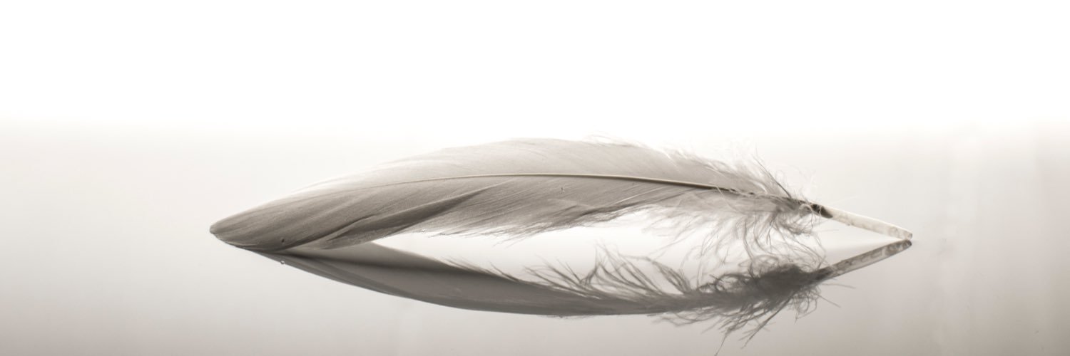 Ryan Robinson banner