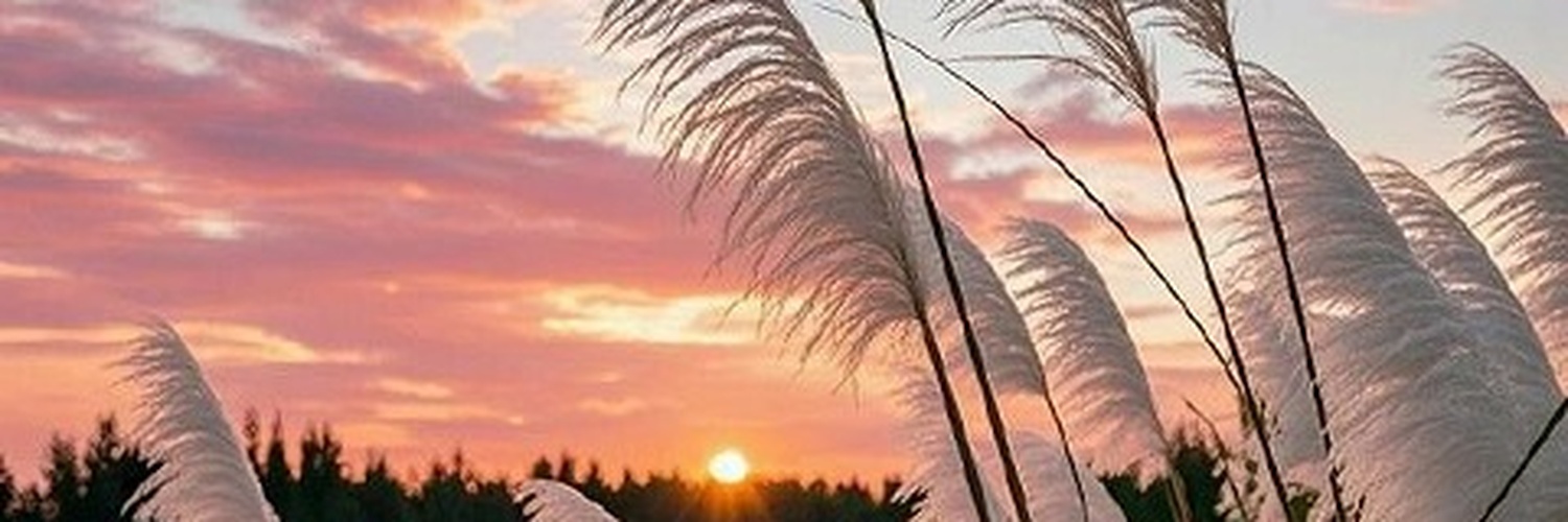 tesabby's profile banner image