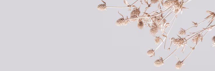 _megaanlily's profile banner image