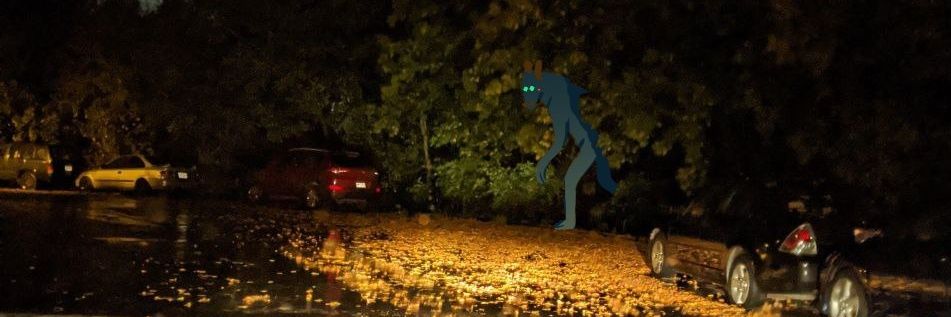 Late Night Cryptid banner