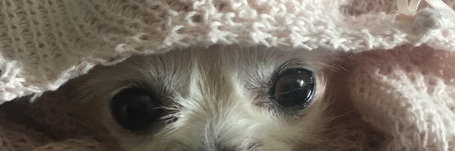 Él? lo es todo PMAF♥ banner