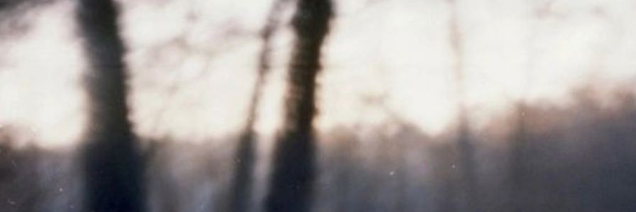 JackMulligan5's profile banner image