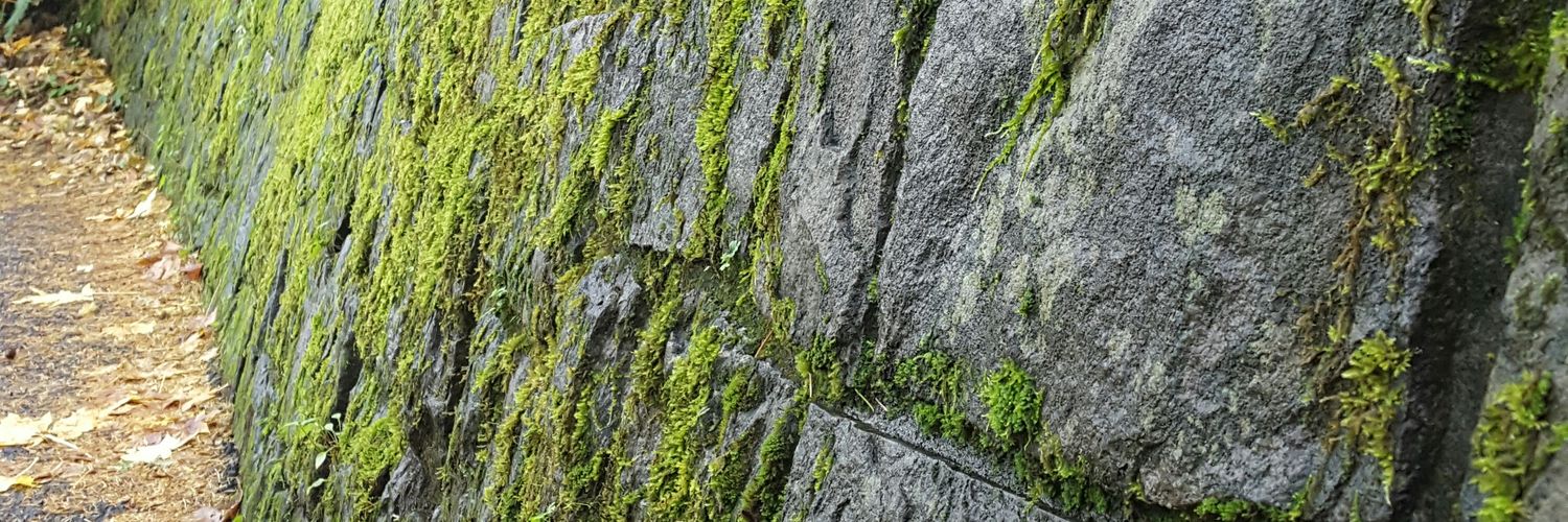 BrolynM's profile banner image