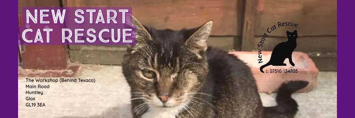New Start Cat Rescue💜🐾 banner