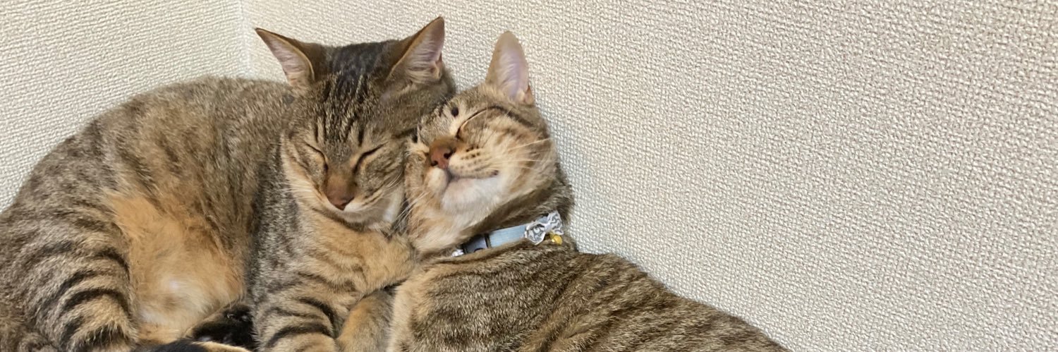 伝田 🐢👼 🐈🐱～♪ banner