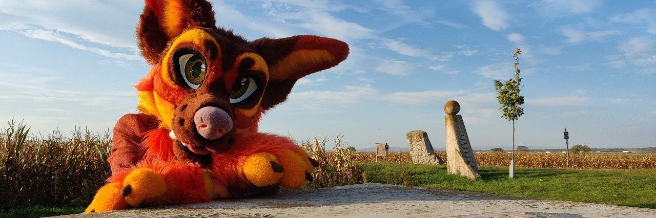 lapsio2's profile banner image