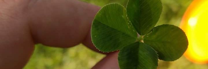 SLClaver's profile banner image