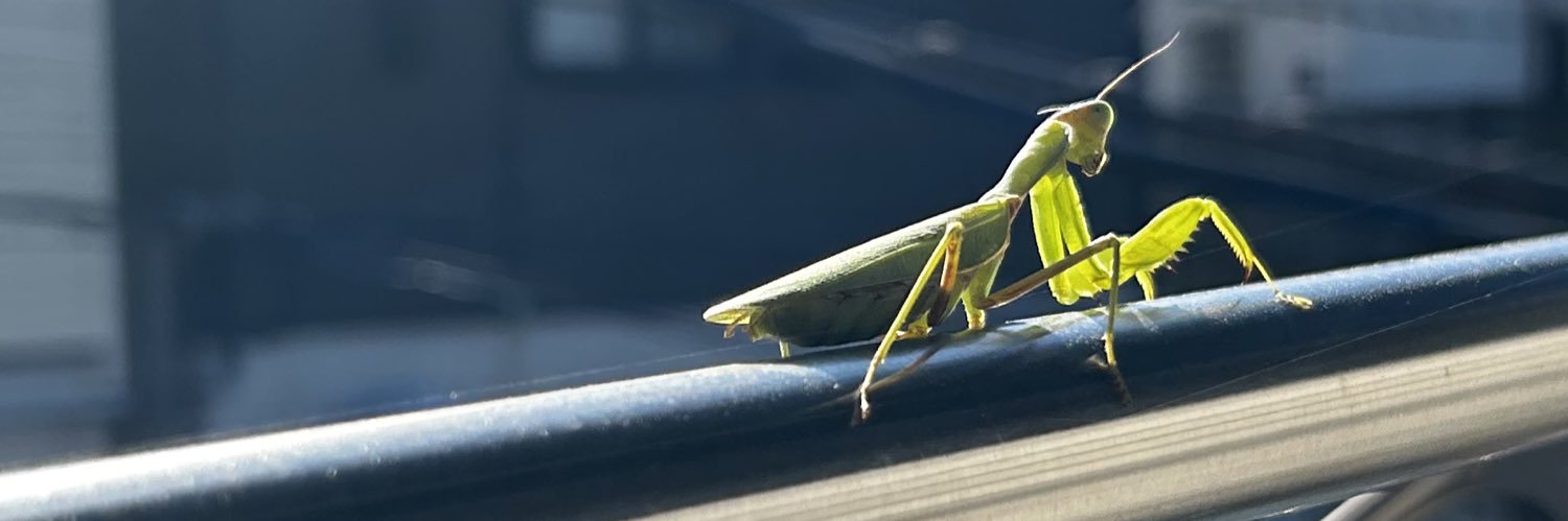 ちゃんけつ banner