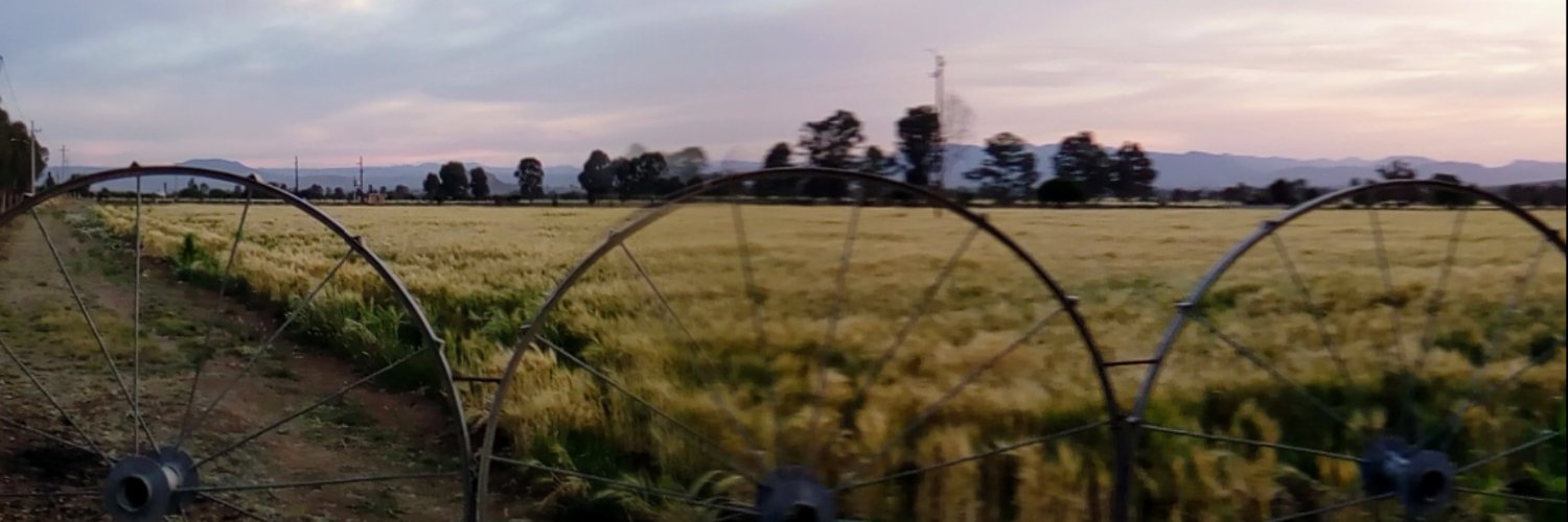 Aabagoz's profile banner image