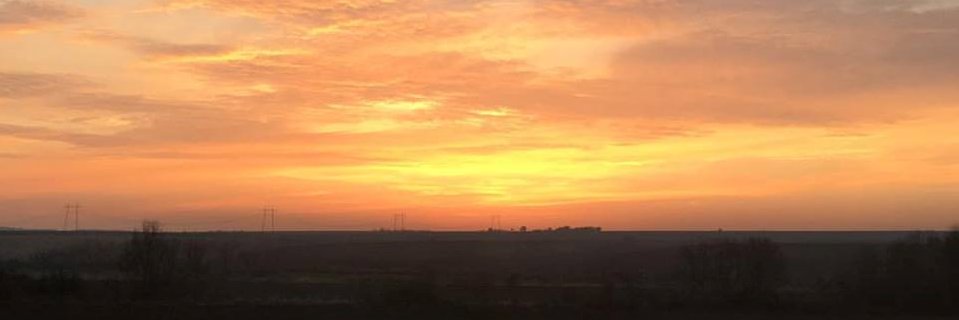 Dora Humphries banner