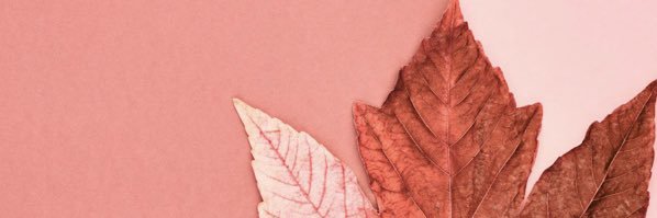 MaOmri's profile banner image