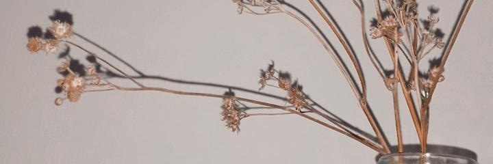 R. banner