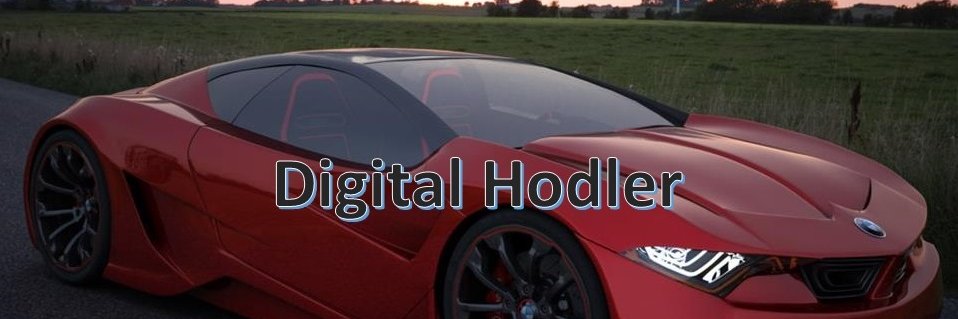 Digital Hodler banner