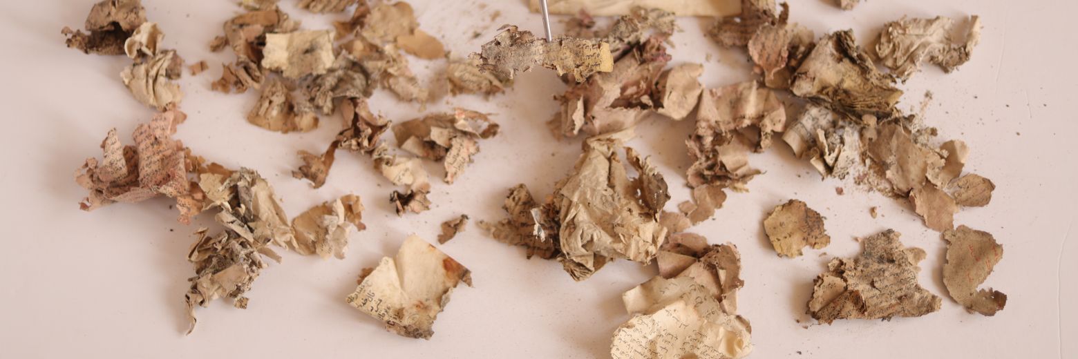 Haneen Alaa Alamssi banner