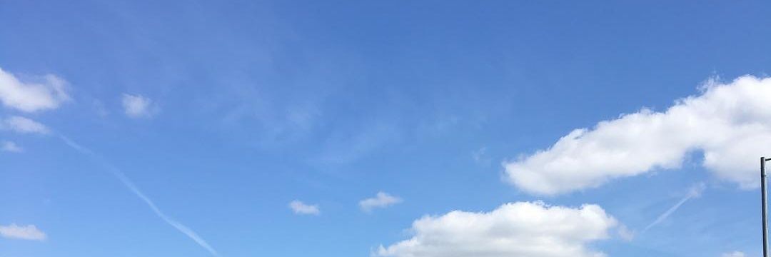 Ofdiorzo banner