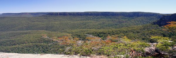 wombatwalking Profile Banner