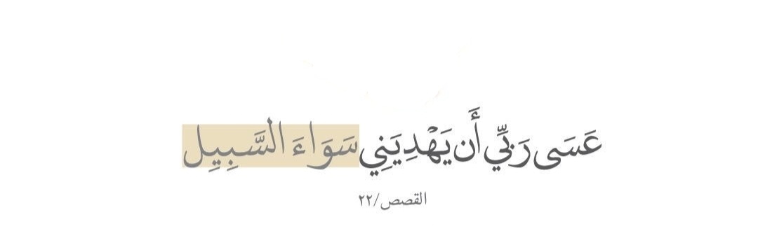 magdimahsoub's profile banner image